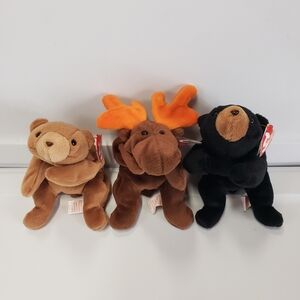 Vintage Ty Beanie Baby 3 Pc North American Animal Bundle